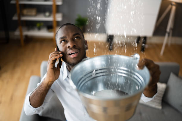 Best 24-hour water damage restoration  in Bushnell, IL