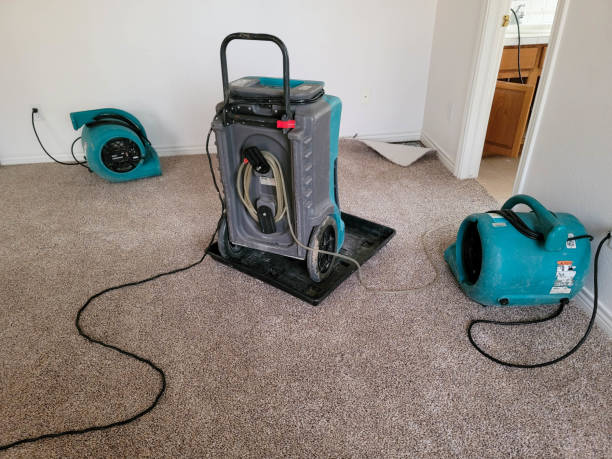 Best Water damage restoration near me  in Bushnell, IL