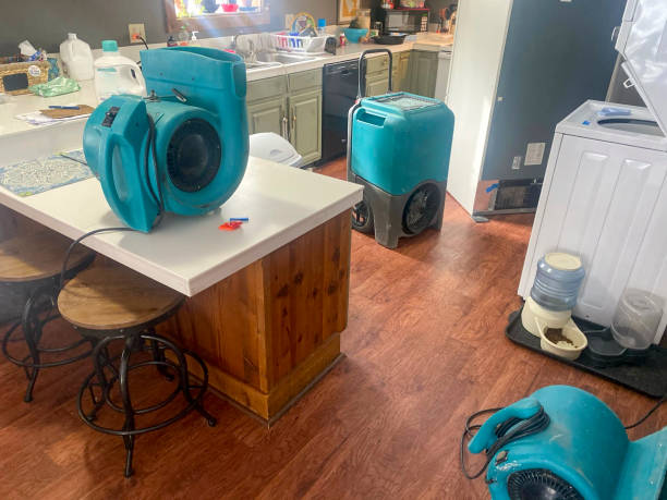 Best Water damage restoration near me  in Bushnell, IL