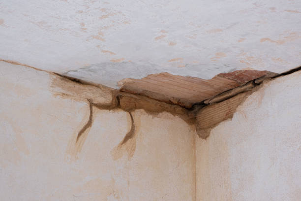 Best Commercial water damage restoration  in Bushnell, IL