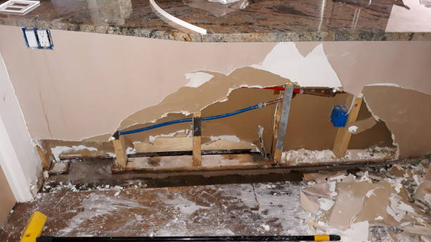 Best Mold removal after water damage  in Bushnell, IL