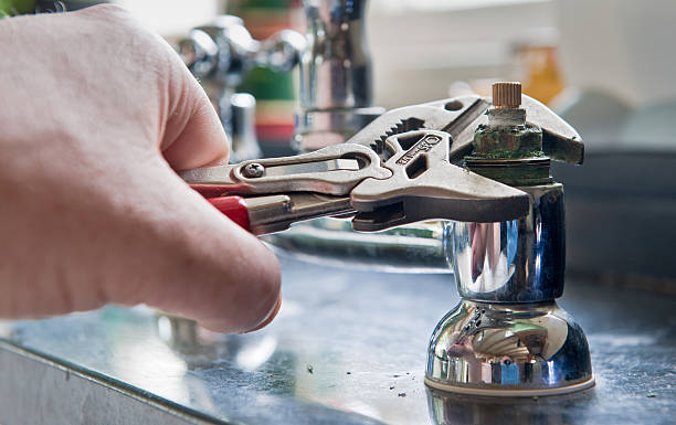 Best Professional water damage repair  in Bushnell, IL