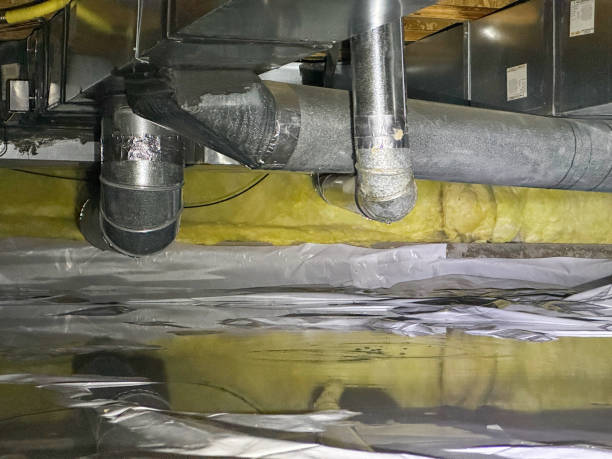  Bushnell, IL Water damage restoration Pros