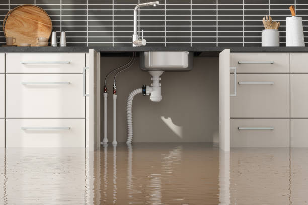 Best Local water damage restoration  in Bushnell, IL