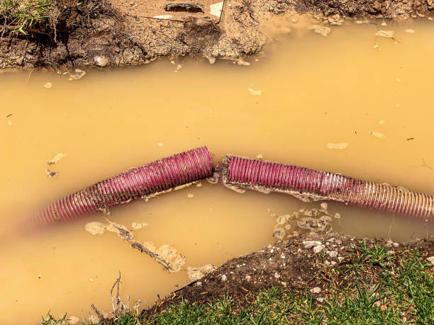 Best Water damage contractors near me  in Bushnell, IL